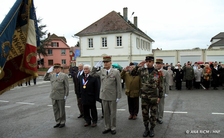 Hnf_1794.jpg