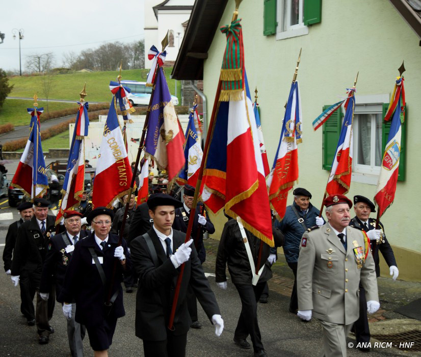 Hnf_1832.jpg