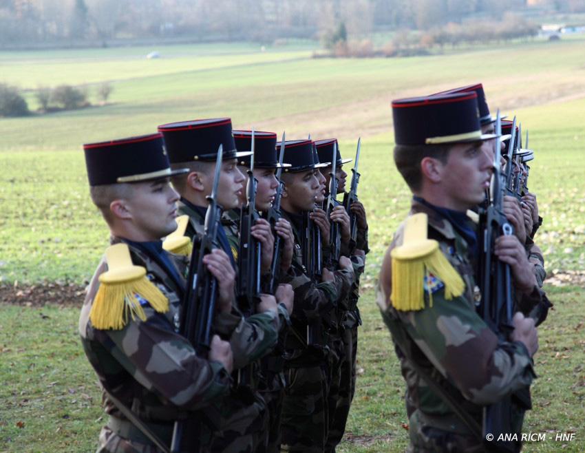 Hnf_1499.jpg