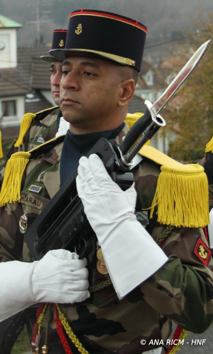 Hnf_1778_1.jpg
