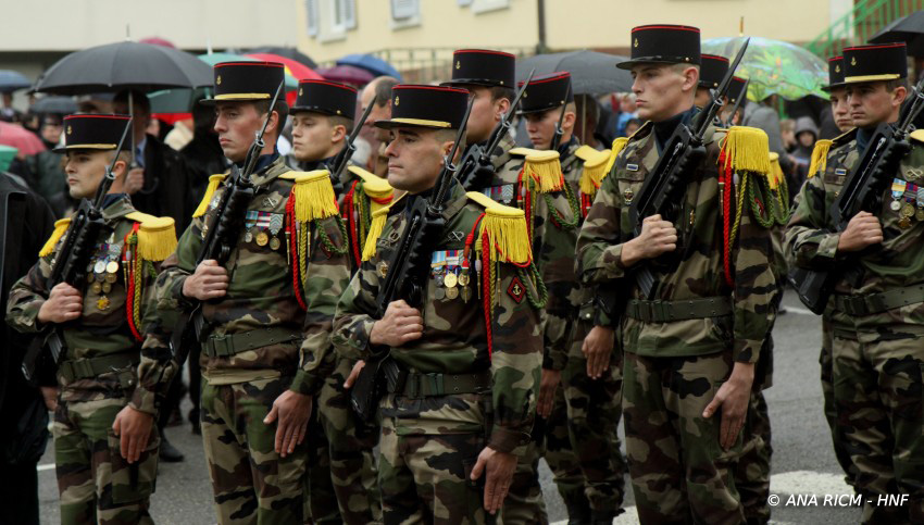 Hnf_1831.jpg