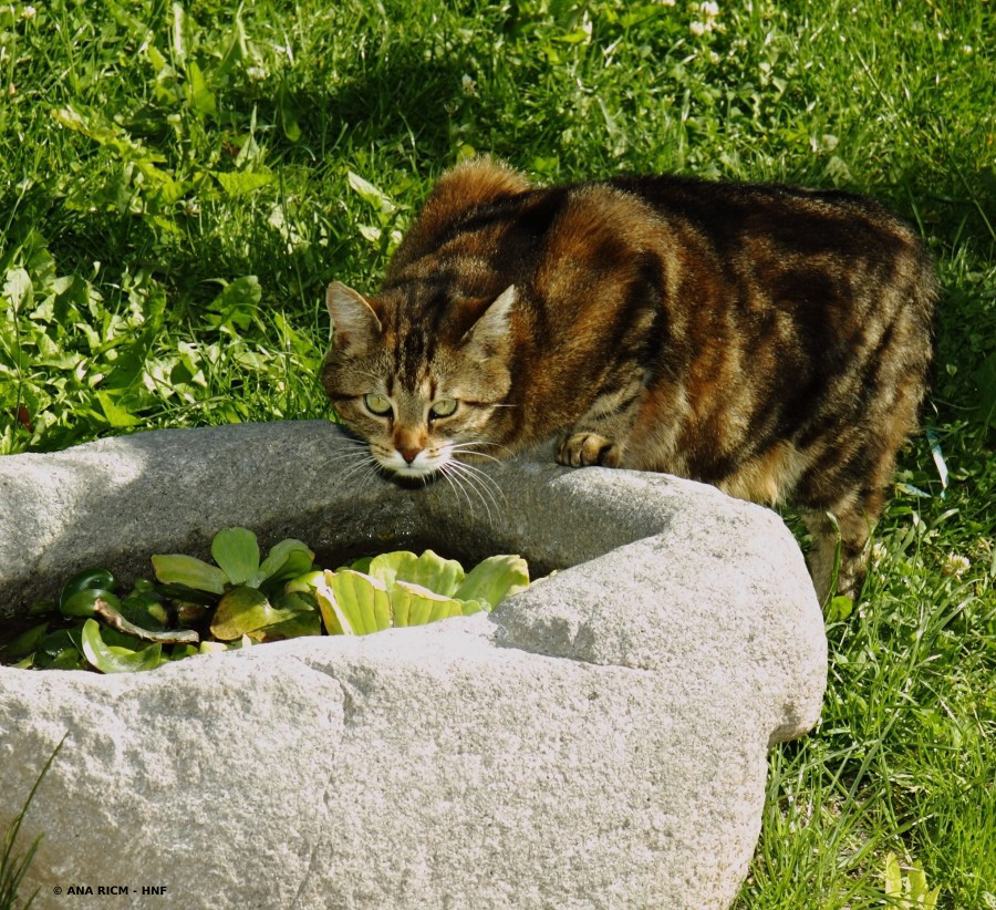 HNF_09465.jpg