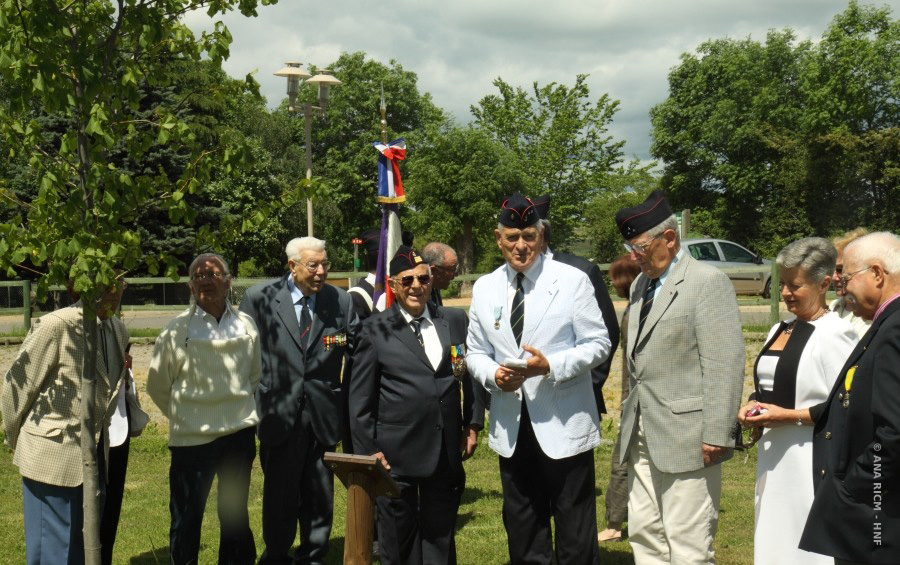 HNF_09540.jpg
