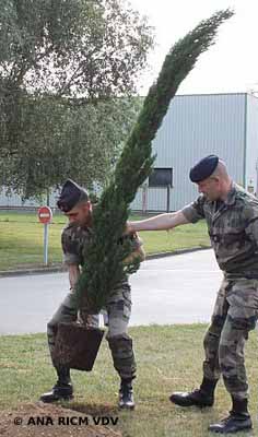 Le colonel Labuze plante son arbre